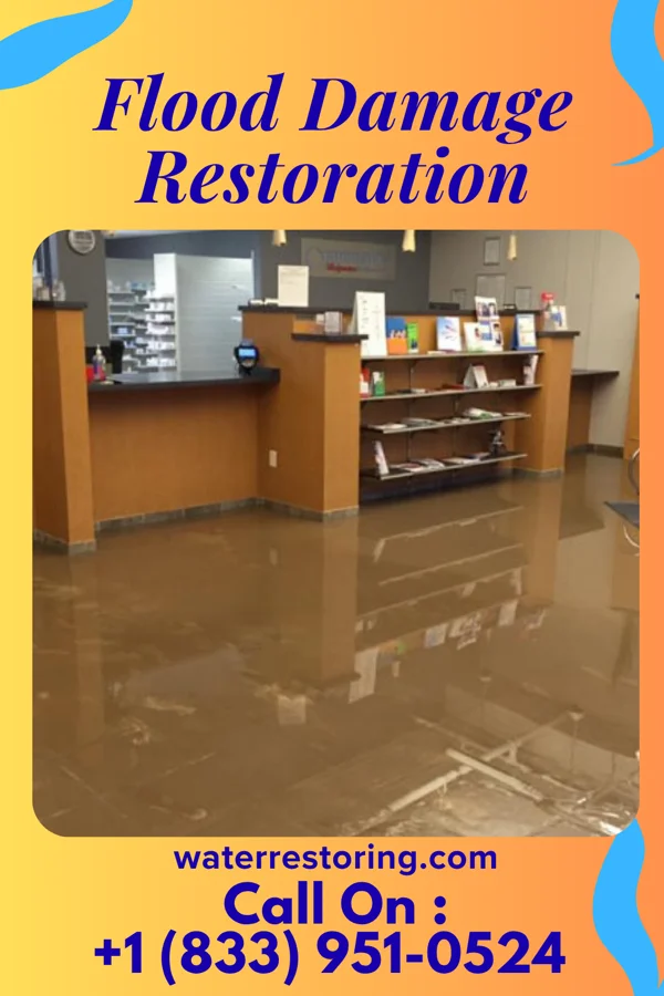 Flood Damage Restoration in Soda Bay, CA
